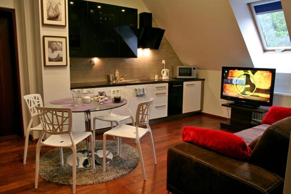 Apartserwis - Gorace Zrodla Apartament Lodowa Kopa 2 扎科帕内 外观 照片